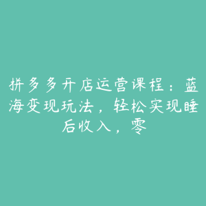 拼多多开店运营课程:蓝海变现玩法,轻松实现睡后收入,零-51自学联盟