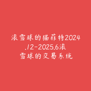 滚雪球的猫菲特2024.12-2025.6滚雪球的交易系统-51自学联盟