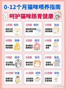 【宠物饲养】养猫技术教程养猫攻略-51自学联盟