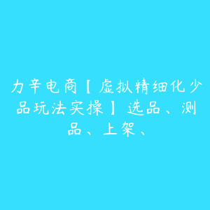 力辛电商【虚拟精细化少品玩法实操】 选品、测品、上架、-51自学联盟