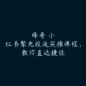 烽哥・小红书聚光投流实操课程,教你直达捷径-51自学联盟