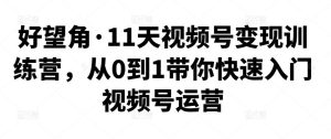 好望角·11天视频号变现训练营教程-51自学联盟