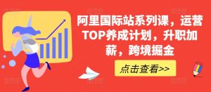 阿里国际站系列课，运营TOP养成计划，升职加薪，跨境掘金-51自学联盟