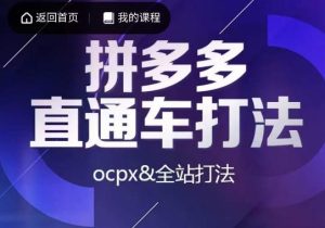 互力·拼多多直通车打法,ocpx&全站打法-51自学联盟