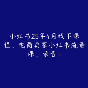 小红书25年4月线下课程，电商卖家小红书流量课，录音+-51自学联盟