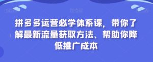 拼多多运营必学体系课，带你了解最新流量获取方法、帮助你降低推广成本-51自学联盟