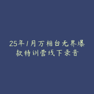 25年1月万相台无界爆款特训营线下录音-51自学联盟