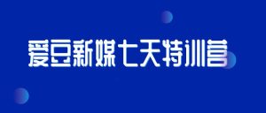 爱豆新媒七天特训营-51自学联盟