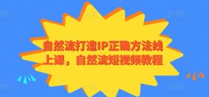 自然流打造IP正确方法线上课自然流短视频-51自学联盟