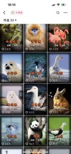 动物科普解说项目，撸创作者伙伴计划收益，保姆级实战教程-51自学联盟