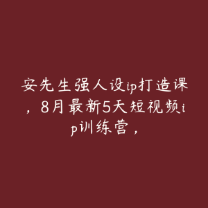 安先生强人设ip打造课,8月最新5天短视频ip训练营,-51自学联盟