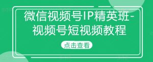 微信视频号IP精英班-视频号短视频教程-51自学联盟