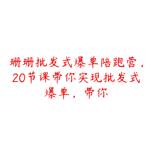 珊珊批发式爆单陪跑营，20节课带你实现批发式爆单，带你-51自学联盟