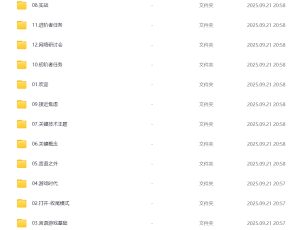 RSD托德《言语游戏》国外最伟大的技术流老师-51自学联盟