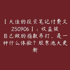 【大佳的投资笔记付费文250906】:收益被自己做的指数吊打,是一种什么体验?股票池大更新-51自学联盟