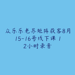 众乐乐老苏矩阵获客8月15-16号线下课 12小时录音-51自学联盟