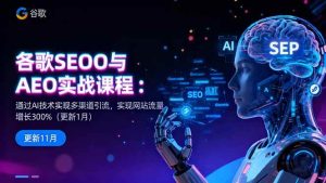 谷歌SEO与AEO实战课程：通过AI技术实现多渠道引流，实现网站流量增长300%-51自学联盟