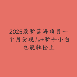 2025最新蓝海项目一个月变现1w+新手小白也能轻松上-51自学联盟