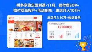 拼多多稳定盈利课-11月，强付费SOP+微付费高投产+活动矩阵，单店月入10w+-51自学联盟