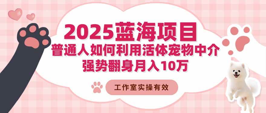 2025蓝海项目：普通人如何利用活体宠物中介，强势翻身月入10万百度网盘下载