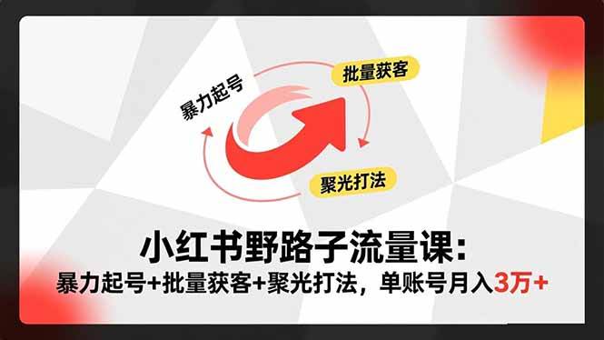 小红书野路子流量课：暴力起号+批量获客+聚光打法，单账号月入3万+百度网盘下载