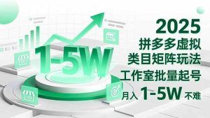 2025 拼多多虚拟类目矩阵玩法，工作室批量起号，月入 1-5W 不难-51自学联盟