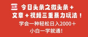 今日头条之微头条＋文章＋视频三重暴力玩法，学会一种轻松日入2000＋，…-51自学联盟