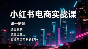 小红书电商实战课，账号搭建，选品测款，流量运营，实操月利润3万+-51自学联盟