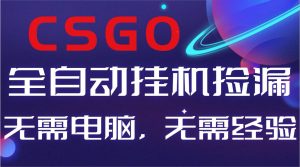 【副业好项目】全球火爆游戏CSGO自动捡漏，新手小白日入500+-51自学联盟