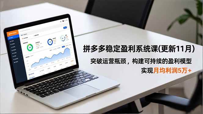 拼多多稳定盈利系统课(更新11月)，突破运营瓶颈，构建可持续的盈利模型，实现月均利润5万+百度网盘下载