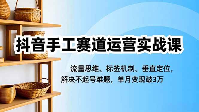 抖音手工赛道运营实战课，流量思维、标签机制、垂直定位，解决不起号难题，单月变现破3万百度网盘下载