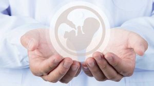 段涛 产科医学课医学知识-51自学联盟