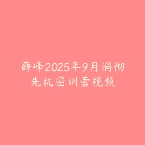 薛峰2025年9月洞彻先机密训营视频-51自学联盟
