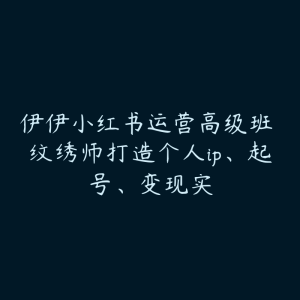 伊伊小红书运营高级班 纹绣师打造个人ip、起号、变现实-51自学联盟
