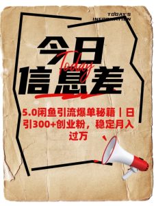 5.0闲鱼引流爆单秘籍，日引300+创业粉稳定月入过W-51自学联盟