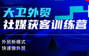 大卫老师·外贸社媒获客独家训练营，外贸新模式，快速做外贸-51自学联盟