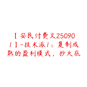 【安民付费文250901】-技术派1：复制成熟的盈利模式，抄大底-51自学联盟