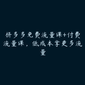 拼多多免费流量课+付费流量课，低成本拿更多流量-51自学联盟