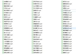 男女欢悦性爱精彩解说视频（共72部姿势视频）-51自学联盟