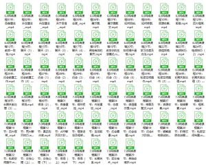 二月团队《魅力塑造6.0+7.0》完整版13.5G-51自学联盟