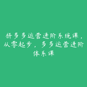 拼多多运营进阶系统课，从零起步，多多运营进阶体系课-51自学联盟