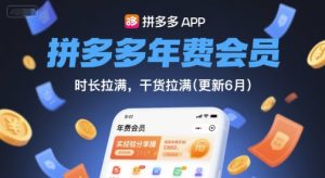 拼多多年费会员,实经验分享操,时长拉满,干货拉满(更新8月)-51自学联盟