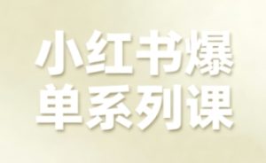 尼采老师·小红书爆单系列课，聚焦小红书电商全链路增长-51自学联盟