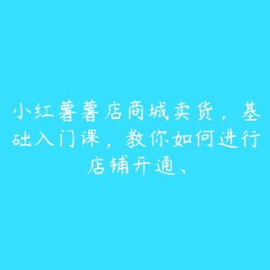 小红薯薯店商城卖货,基础入门课,教你如何进行店铺开通、-51自学联盟