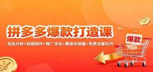 拼多多爆款打造课：竞品分析+标题制作+推广优化+黑搜改销量+免费流量拉升-51自学联盟