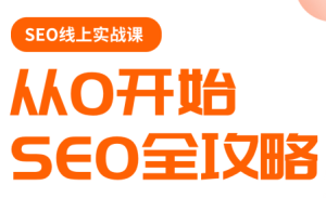 若凡老师·谷歌SEO实操课-51自学联盟
