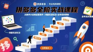 大炮·拼多多全阶实战课程，从新手小白到运营高手，海量实战玩法+全年实时更新【2025年10月更新】-51自学联盟