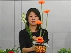 插花技巧自学视频课程合集百度网盘下载