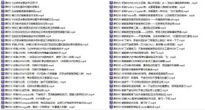 软件破解逆向-汇编破解基础 共74节课-51自学联盟