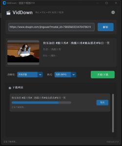 VidDown视频下载器v1.0 可无水印下载B站/钭音/油管等-51自学联盟